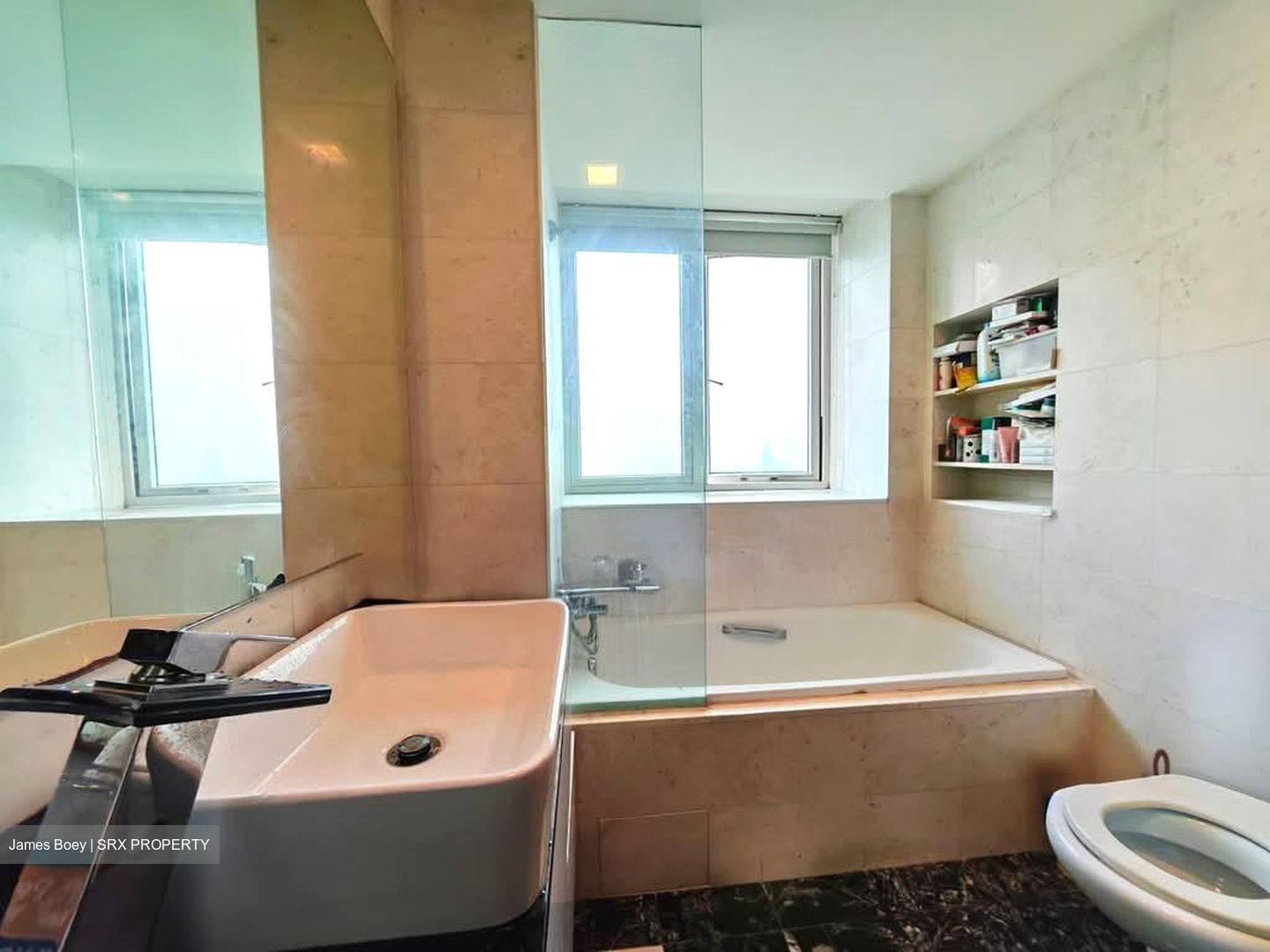Edelweiss Park Condominium (D17), Condominium #561656281